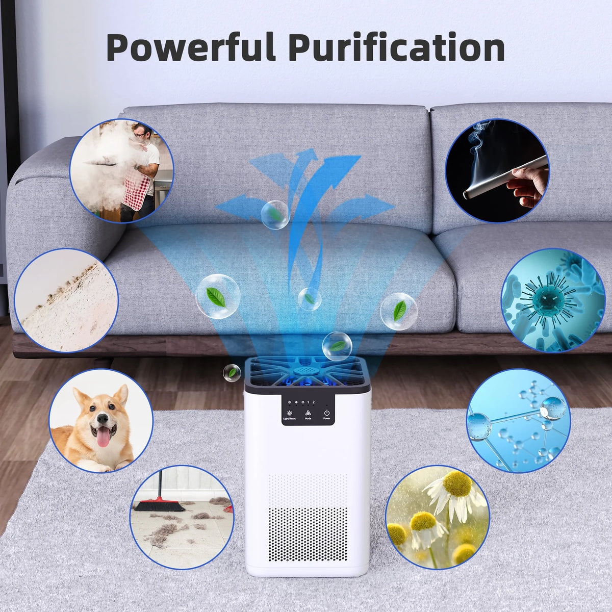 Air Purifier with H13 True HEPA Filter Y44051