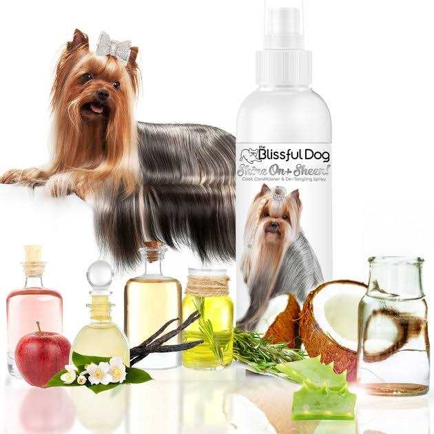 All Natural Leave-in Conditioner and Coat Detangler H982