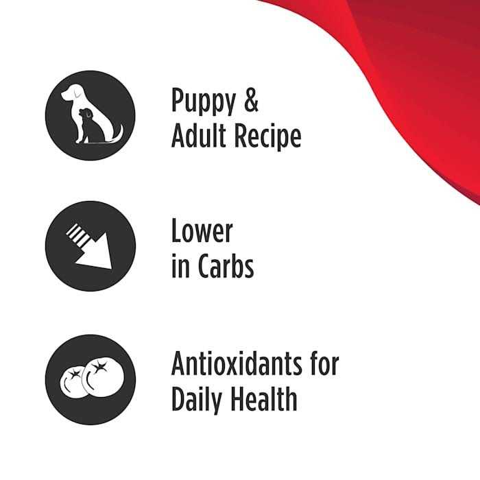 Grain Free Salmon Dog Food D633