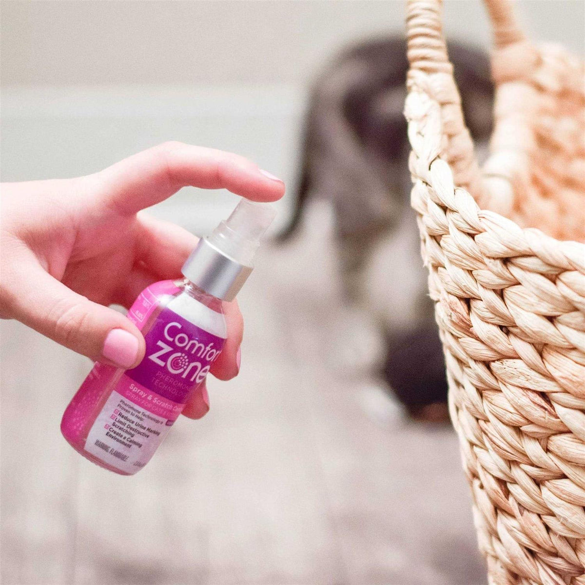 Cat Calming Spray K4735