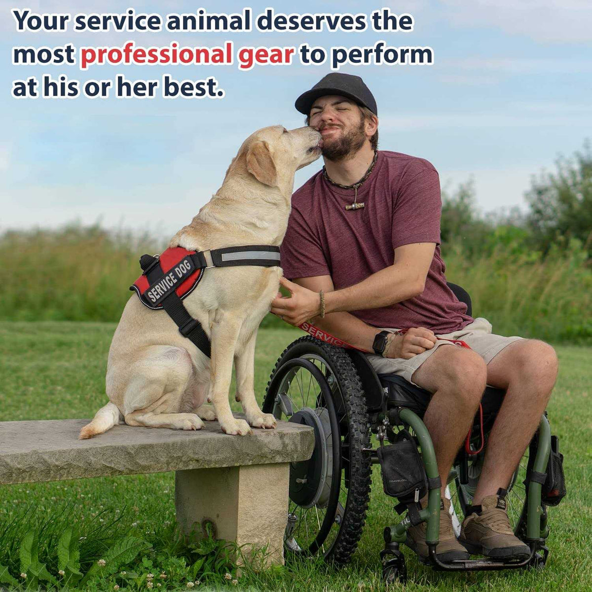 Service Dog Vest with Hook and Loop Straps and Handle H84167