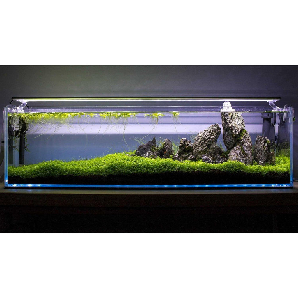 High Clarity 12.7 Gallon Aquarium Y769991