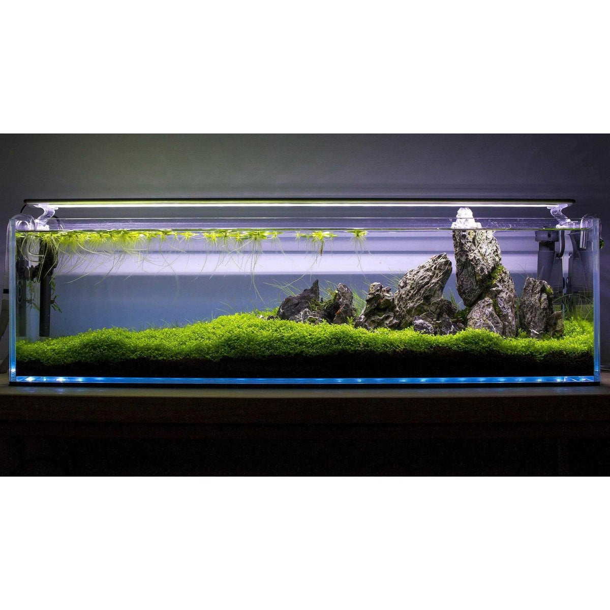 High Clarity 12.7 Gallon Aquarium Y769991