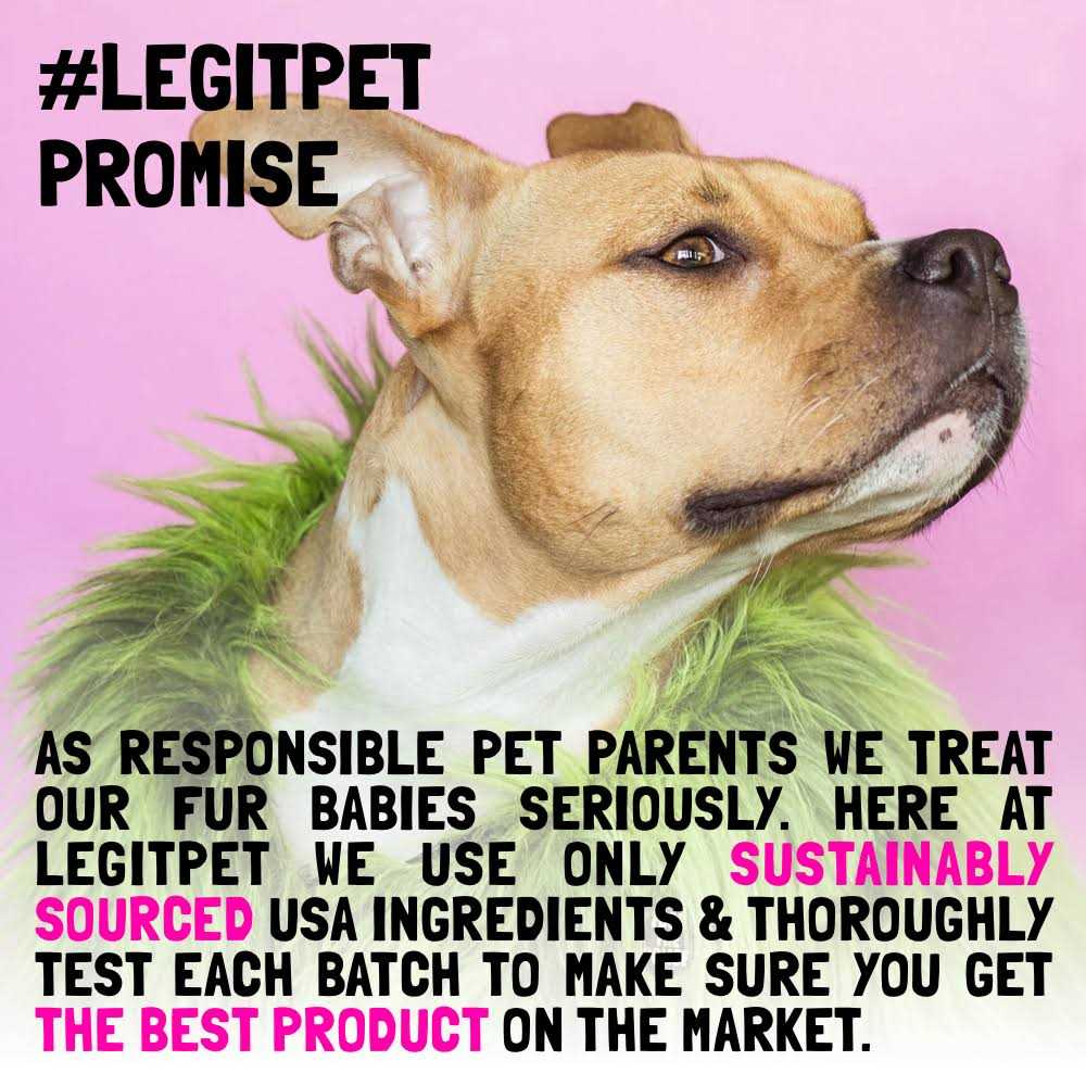 Allergy Relief Chews for Dogs with Kelp Colostrum & Bee Pollen M338