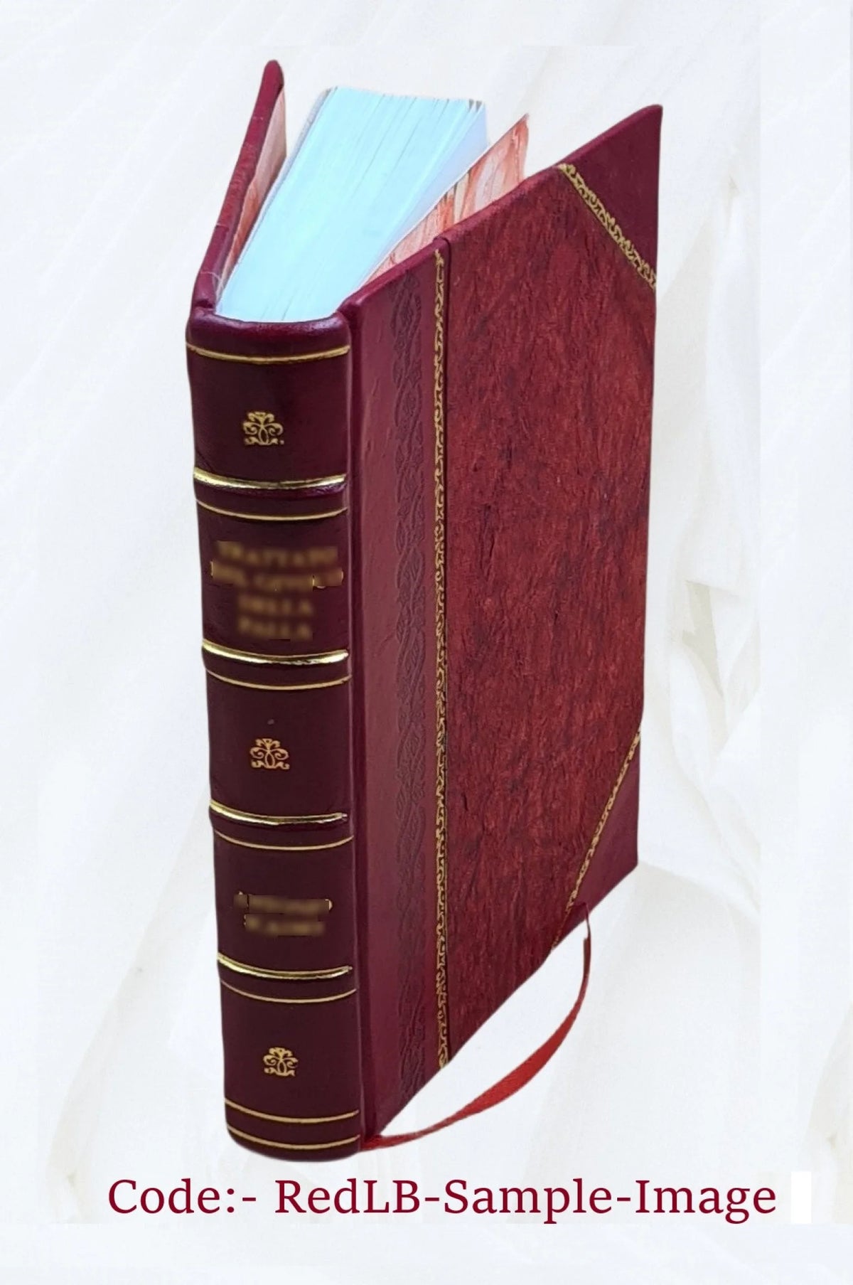 Wanderings in New South Wales, Batavia, Pedir Coast, Singapore, and China: Journal of a Naturalist, 1832-1834 [Leather Bound] L9609
